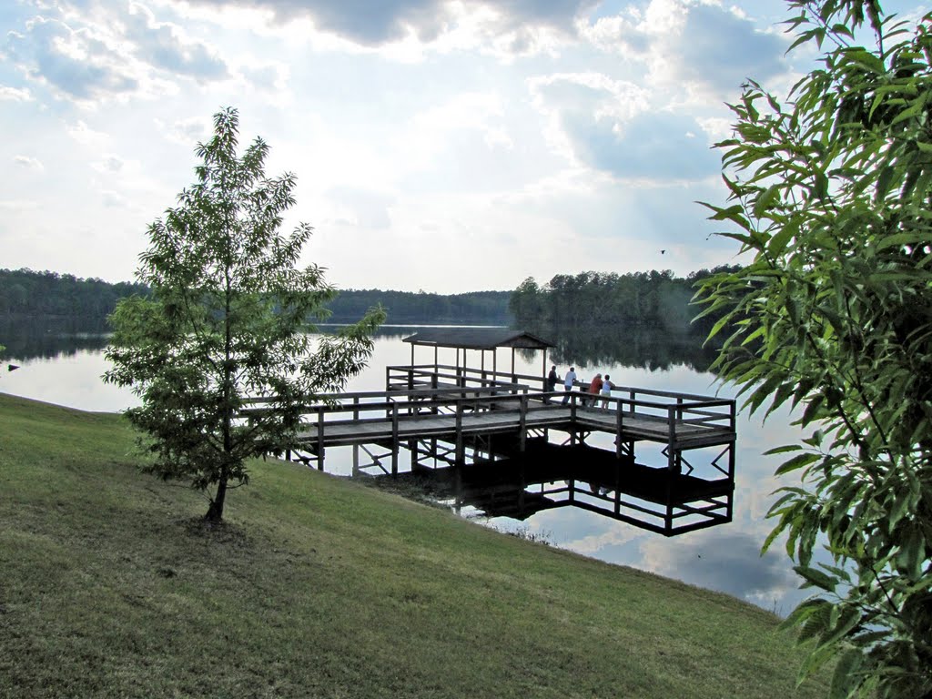 Washington County State Public Lake near Millry, AL