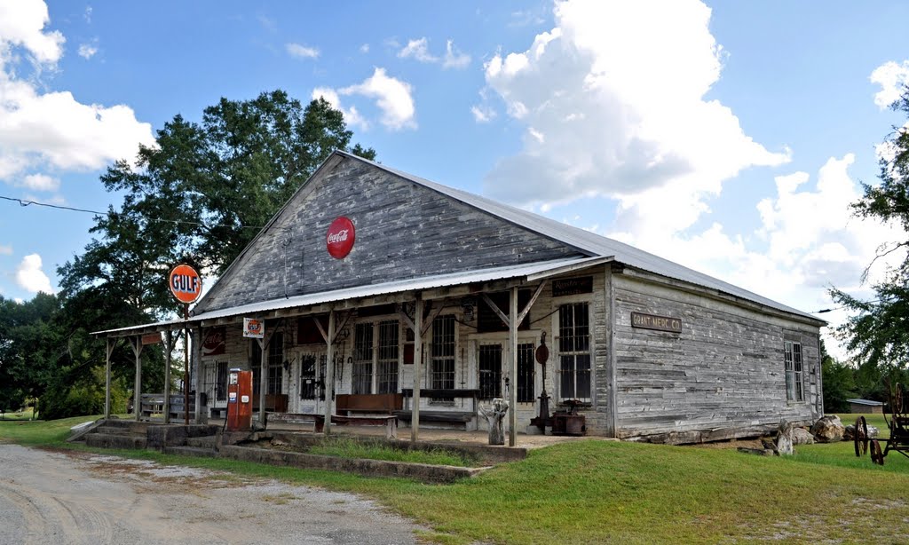 The Old Grant Country Store at Ward, AL