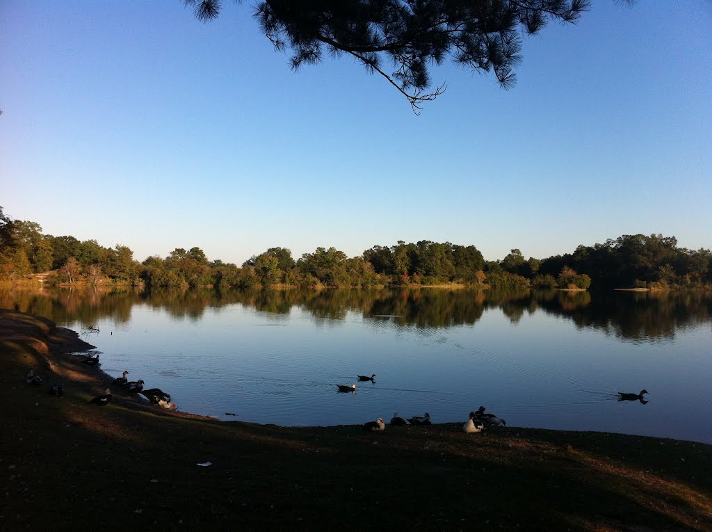 Hattiesburg