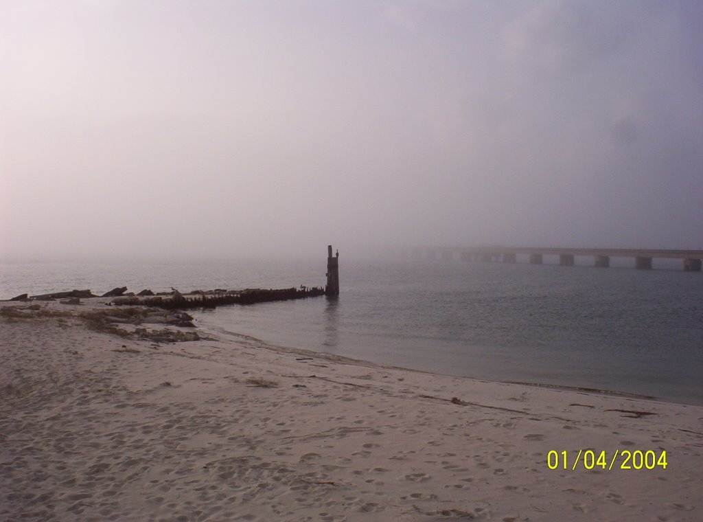 Gulfshore