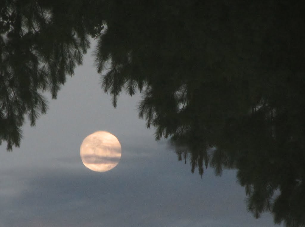 Full moon rising from water