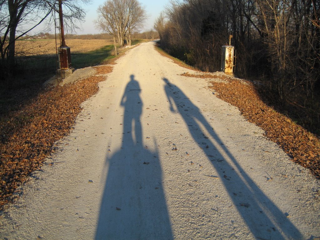 Sedalia