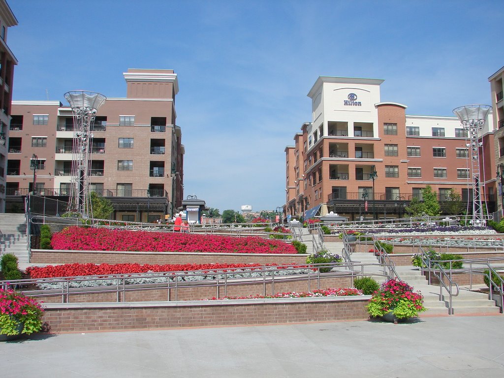 BRANSON LANDING