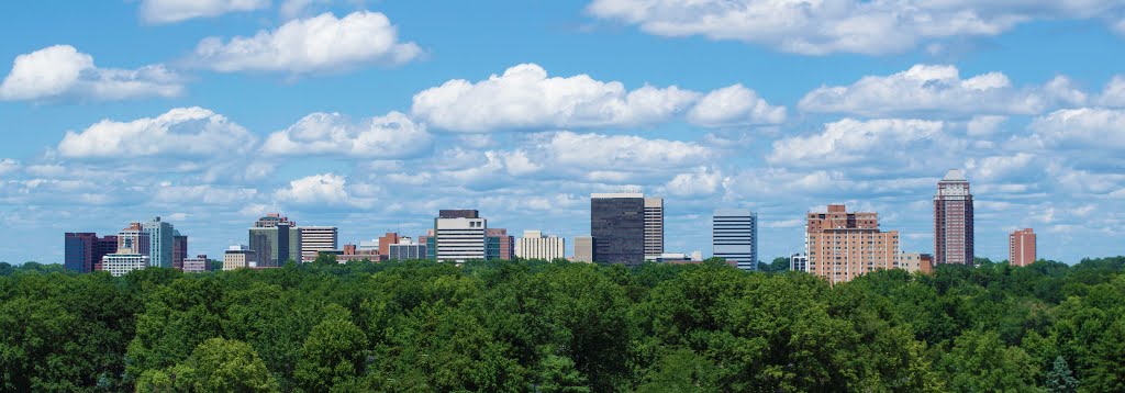 Clayton Panorama from Brentwood