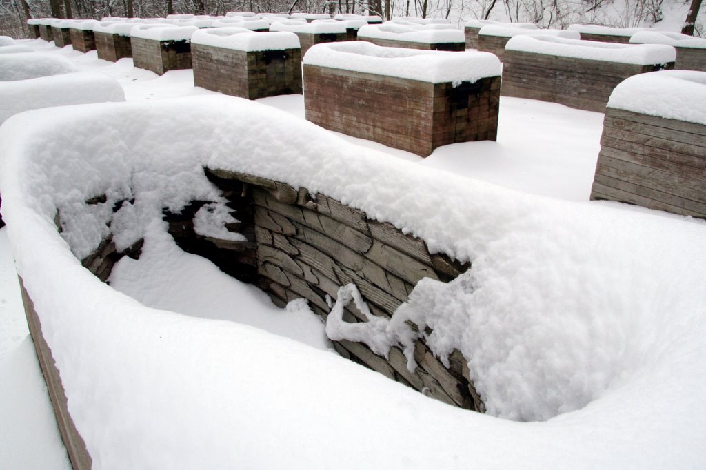 Forty-five chambers of western red cedar, rubber, concrete, and ferrous metal: veiwpoint from chamber #1, with February snowfall