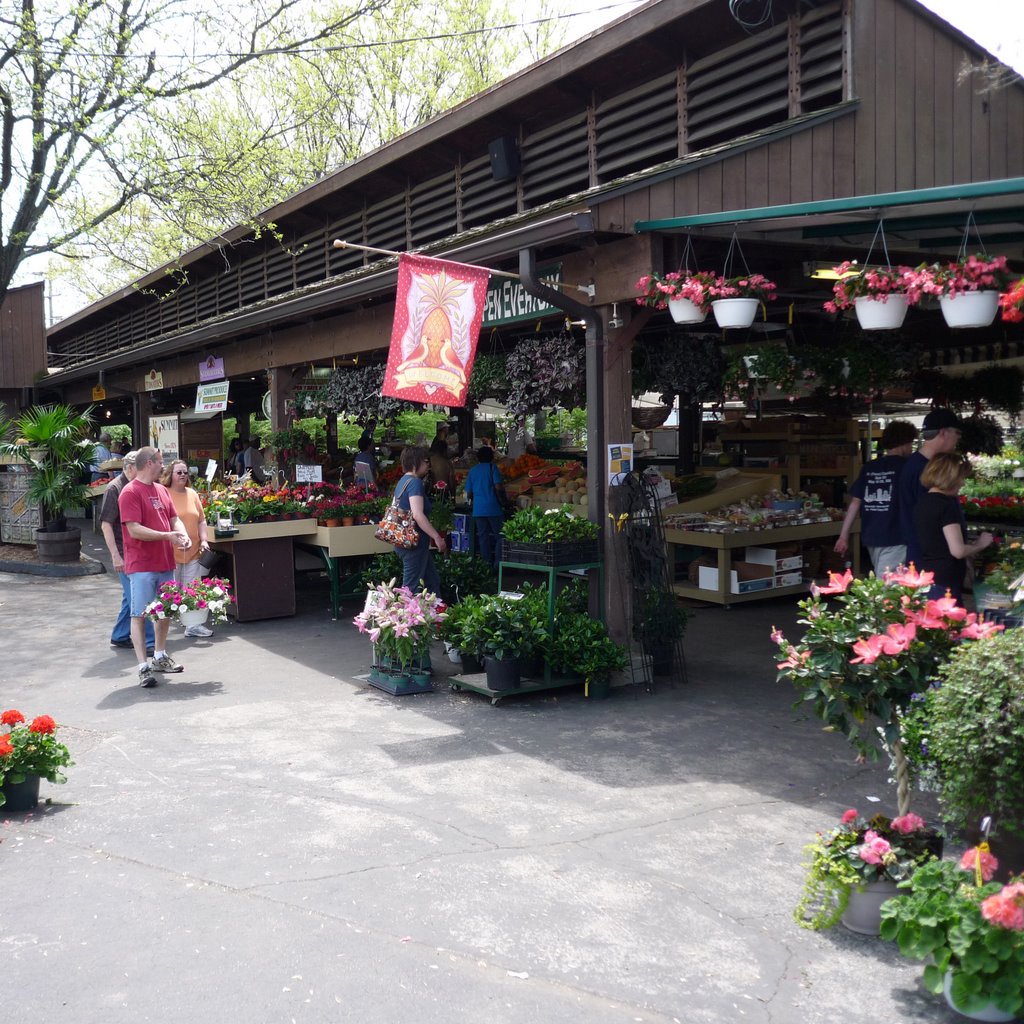 Farmers Market - Kirkwood