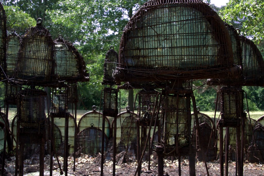 Glass people (titled "Birds Fly Through Us: Arches")
