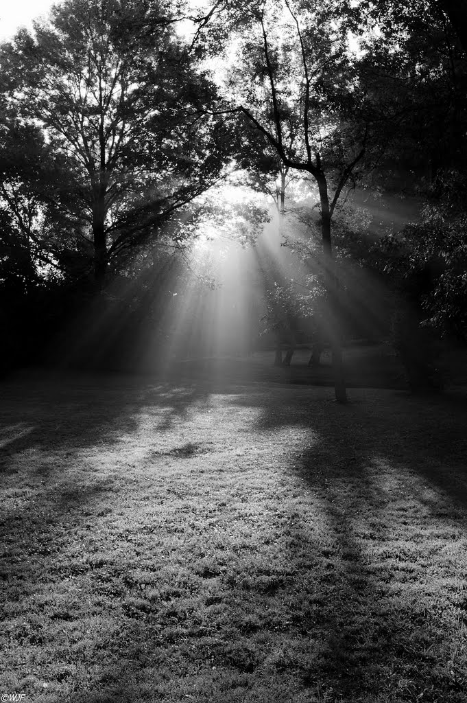 Sunday Morning Shadows