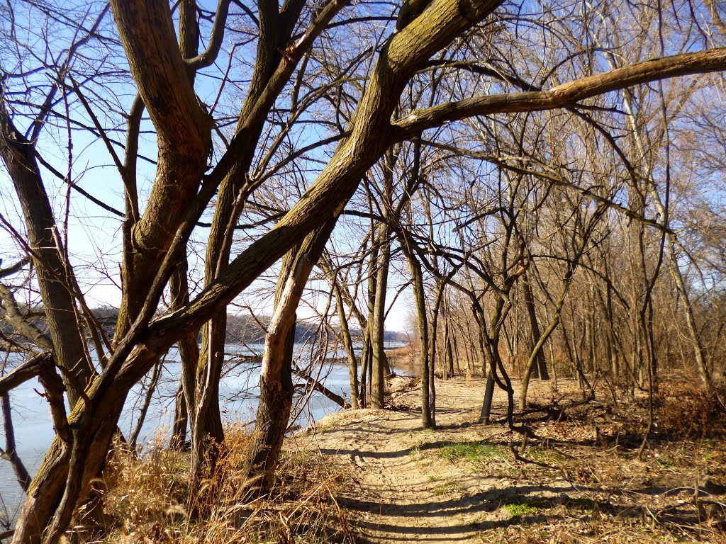 Carl R. Noren Access Hiking Trail