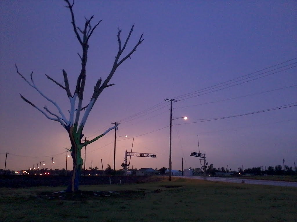 Survivor tree following the EF-5 Tornado that went through Joplin, MO