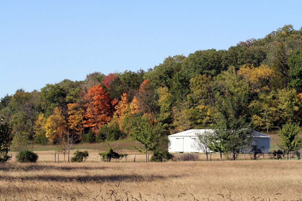 Autumn touches the hillside