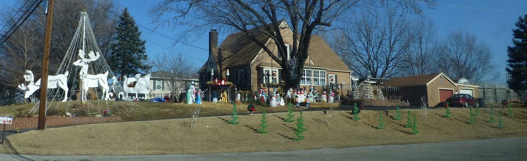 Yard with Christmas Decorations