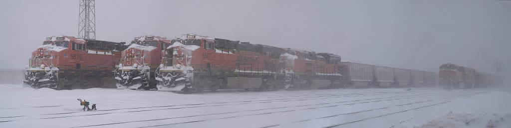 BNSF Murray Yard during blizzard of 2/1/2011