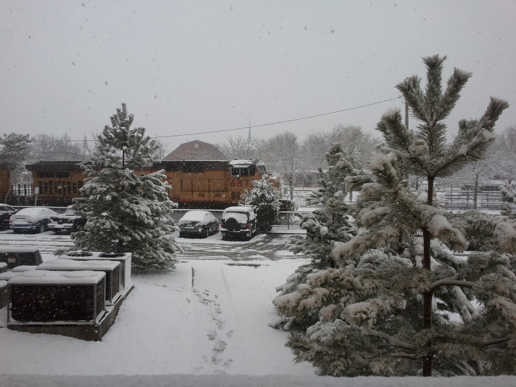 El tren va lento por la nieve