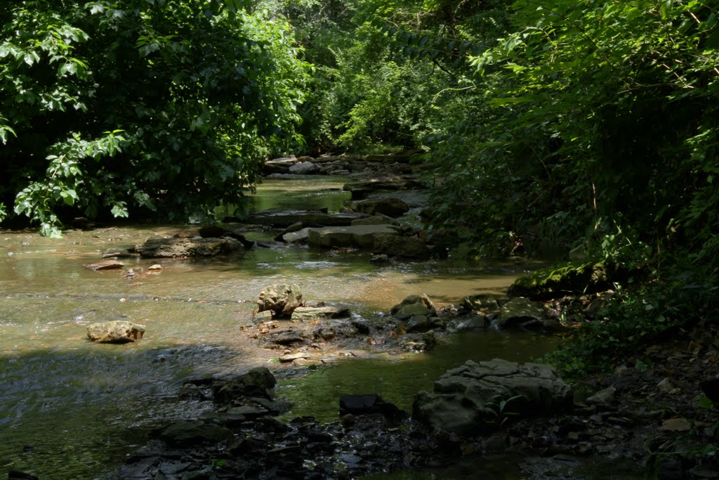 Sugar Creek