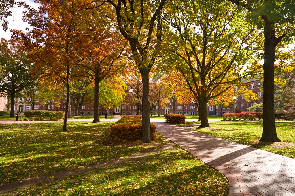 Truman State University Walkway