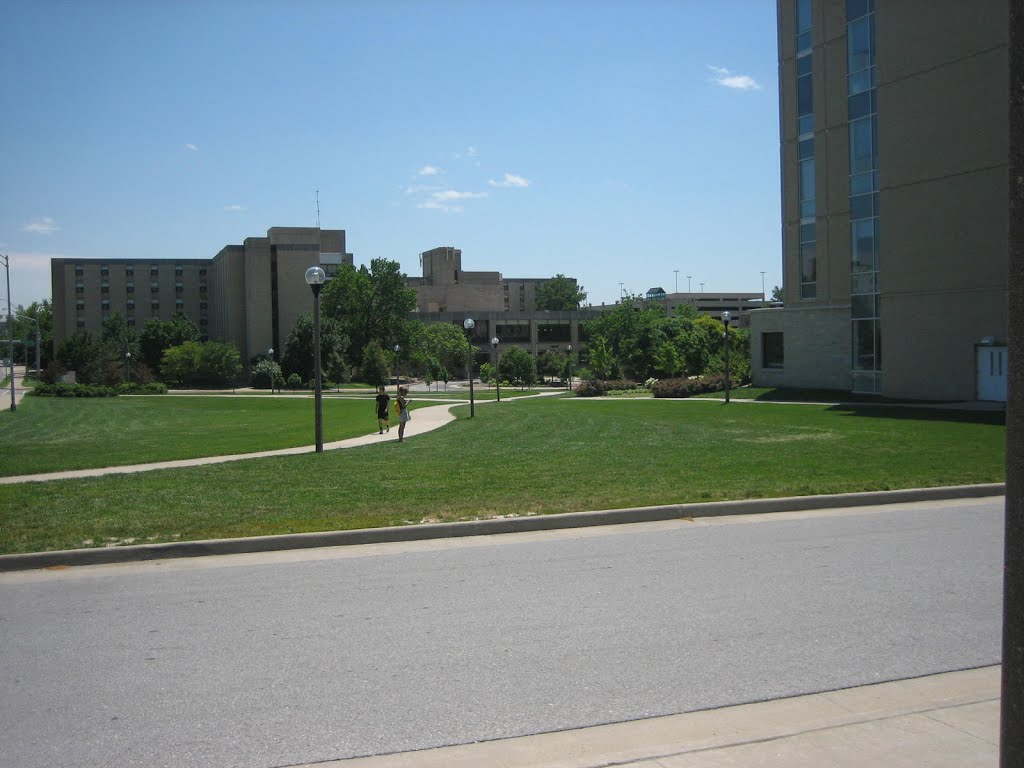 University of Missouri