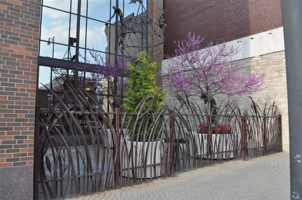 tall grass metal fence, downtown, Columbia, MO