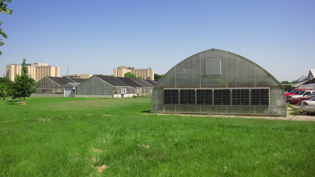 Greenhouses on Ashland Road, Mizzou