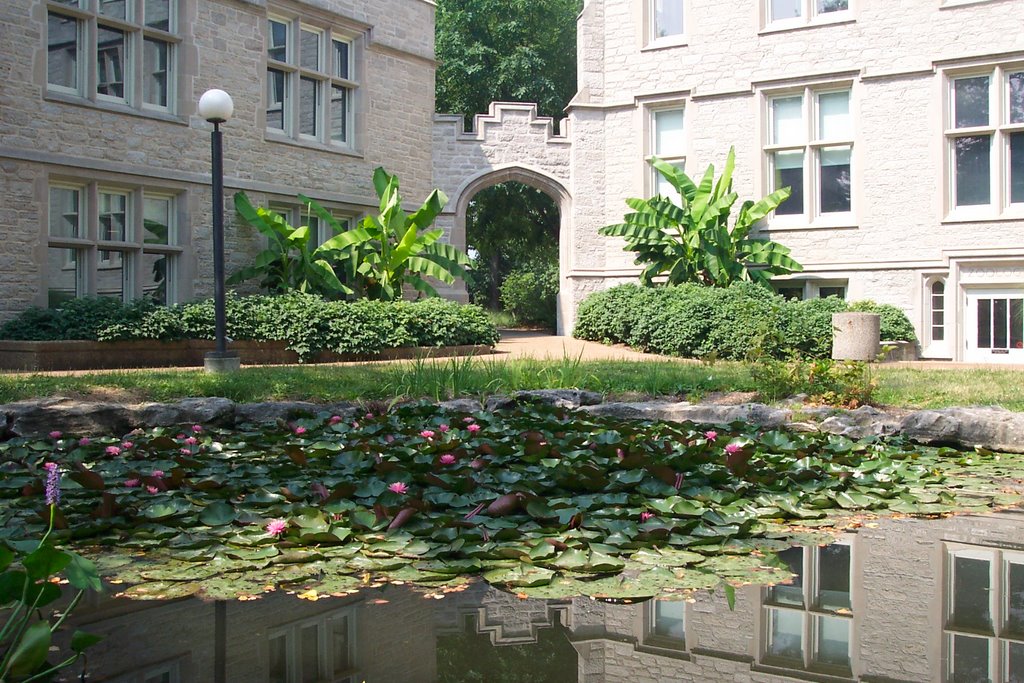 Stephens Pond
