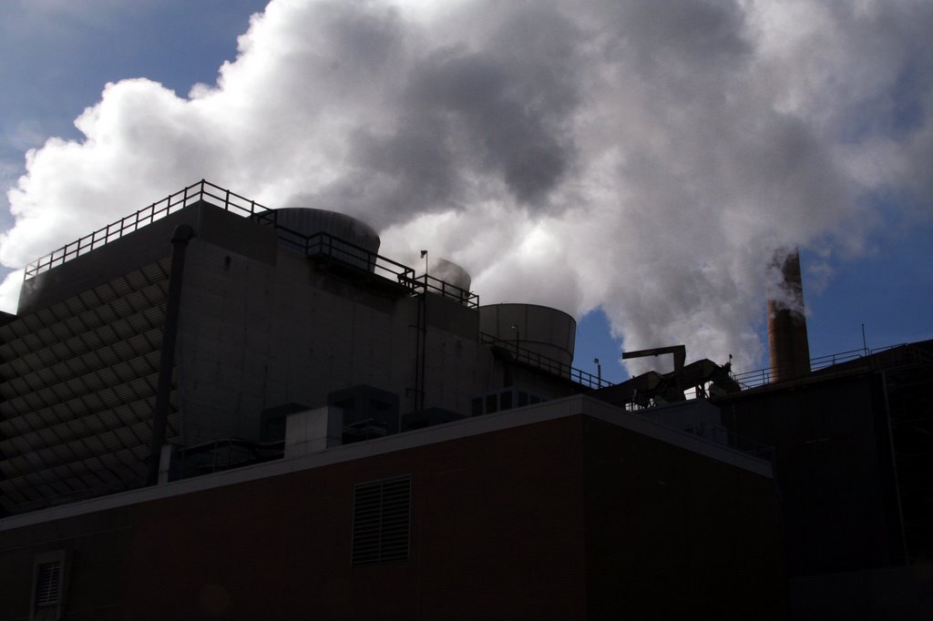 Exhaust steam from the cooling towers