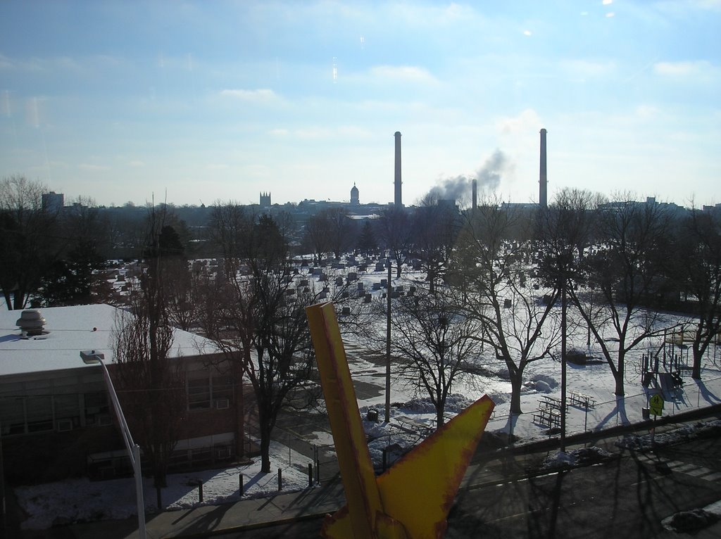 a View from the Library