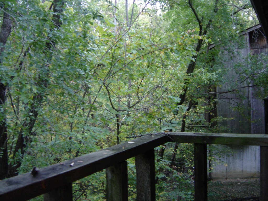Back Porch
