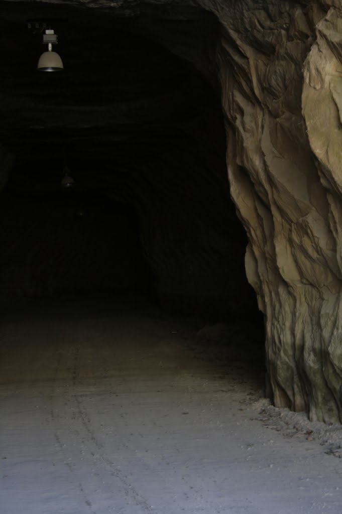 Crystal City Underground