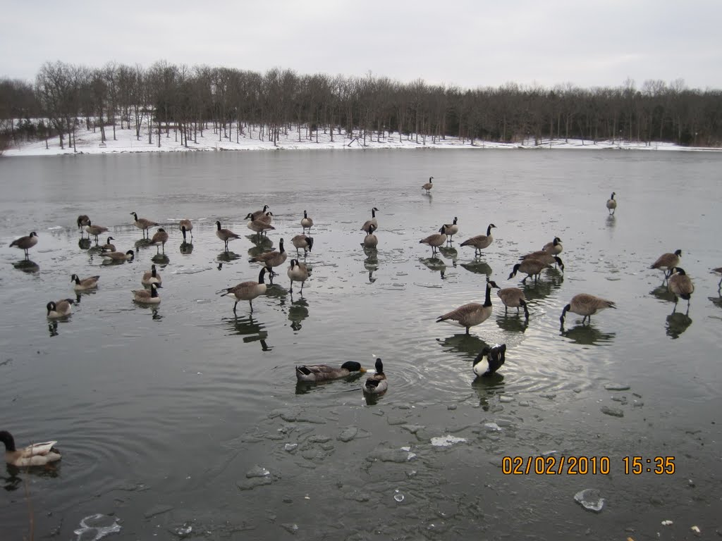 Bonne Terre Lake