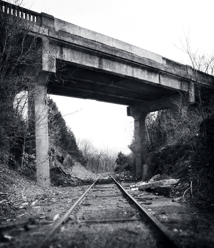 The Littered Rails