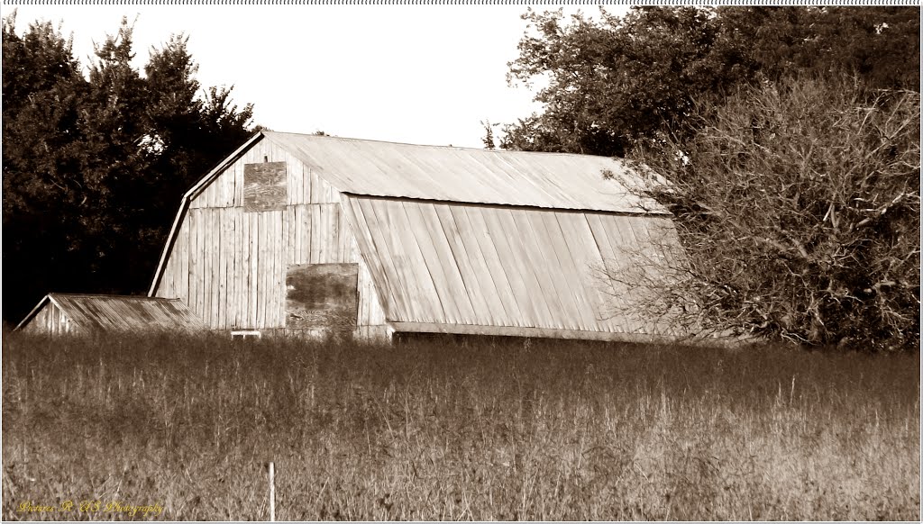 Old Barn (Parkway Drive)