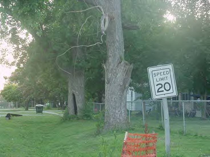View from School, Bronaugh, Missouri