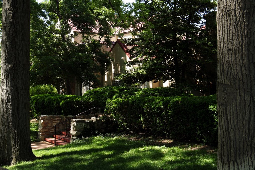 Steps to the Bird House