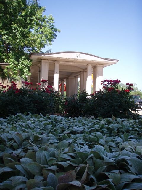 The Muny
