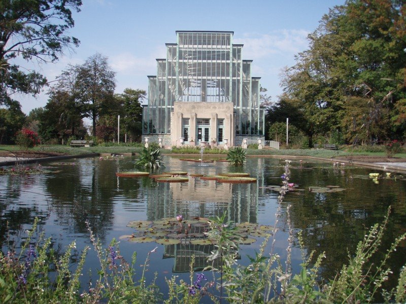 Jewel Box