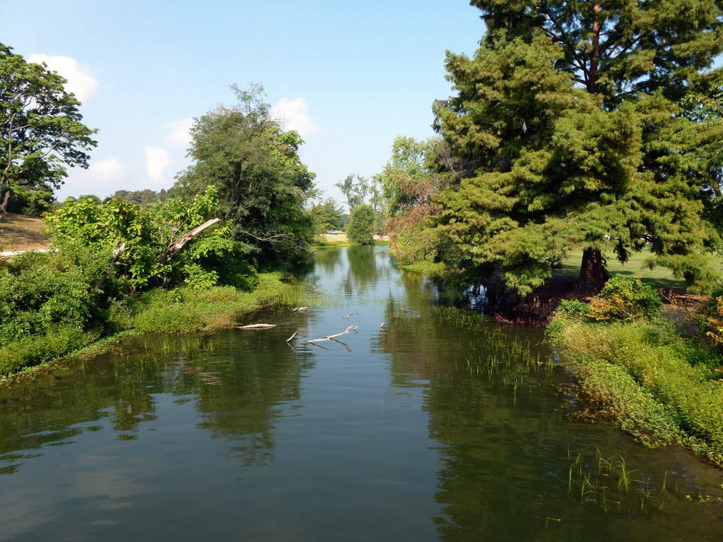 Forest Park