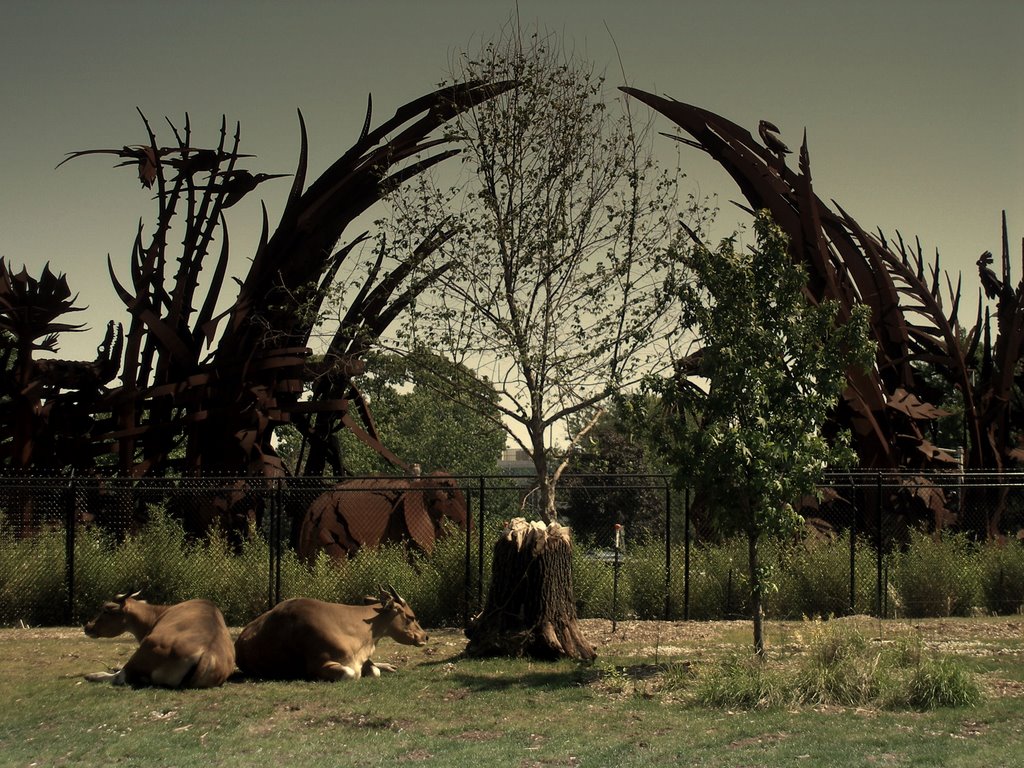 Saint Louis, Zoo, Iron Sculpture