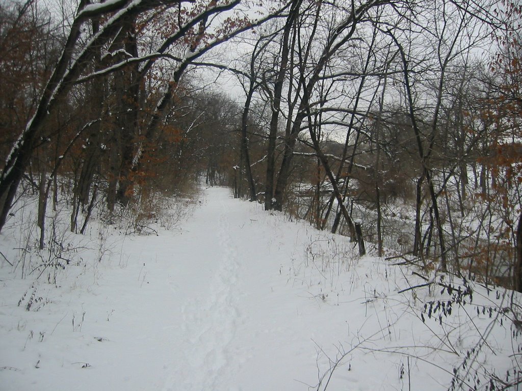 Line Creek Trail