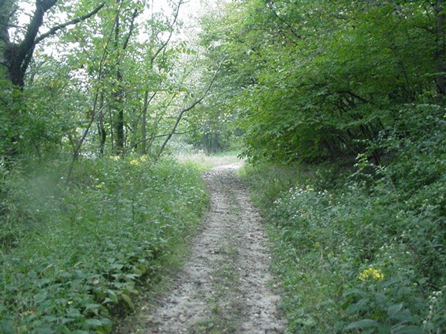 Line Creek Trail