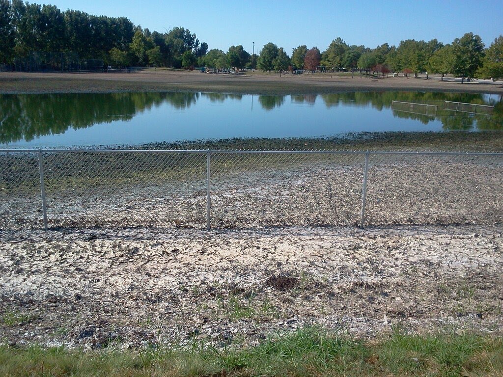 E.H. Young Park flooding 8/7/11