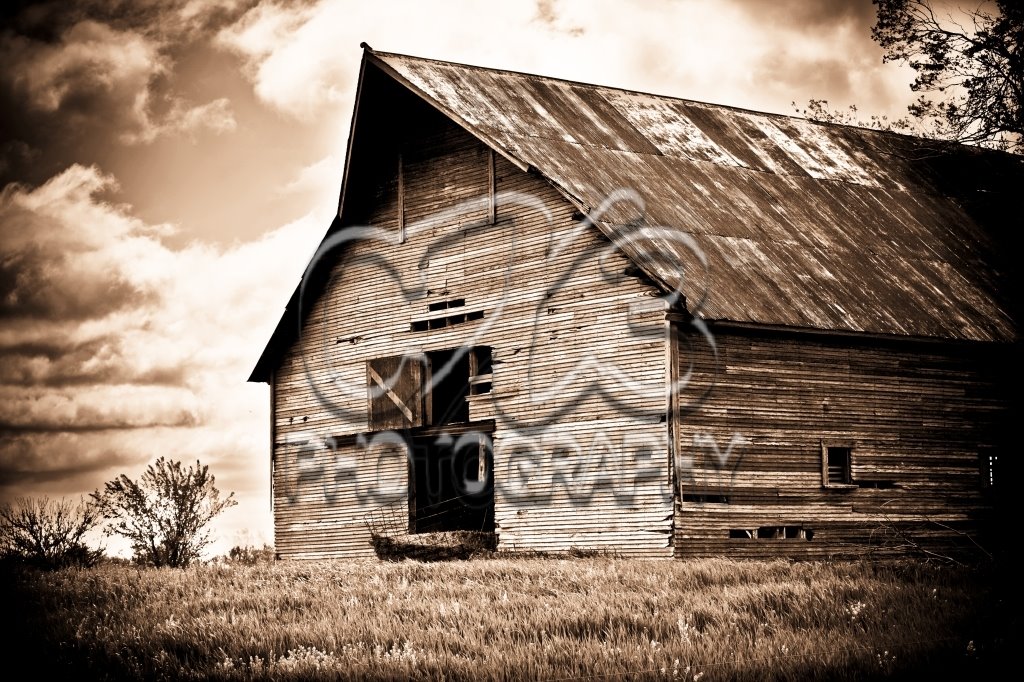 Barn