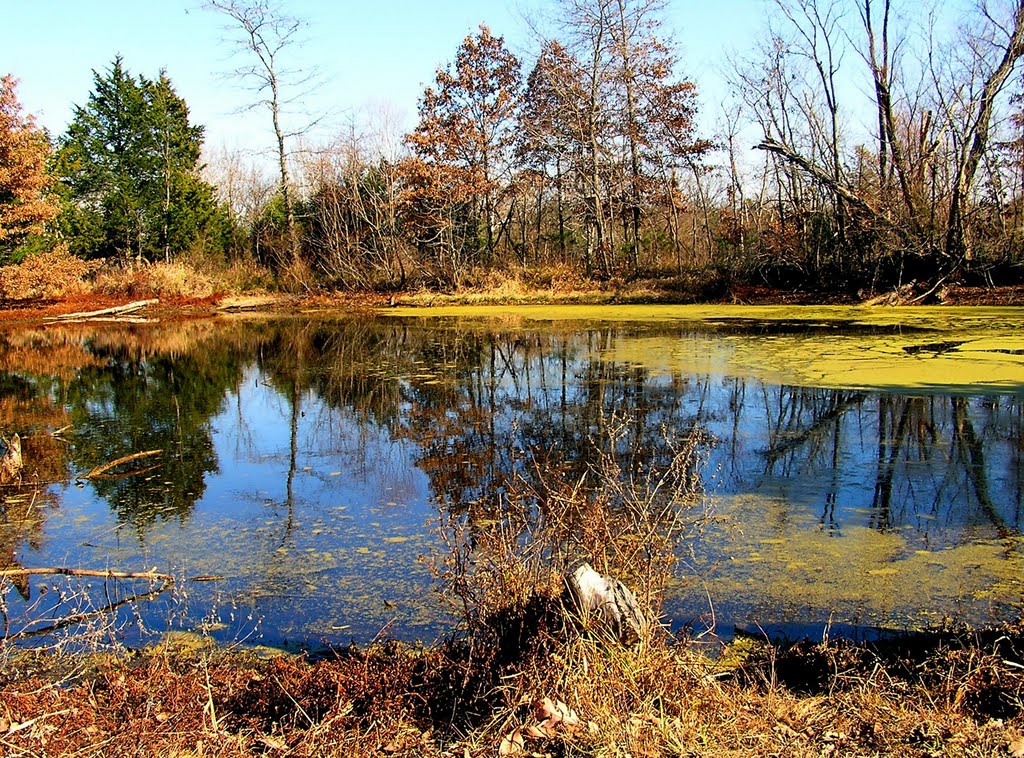 Peaceful Missouri countryside, New Bloomfield, MO