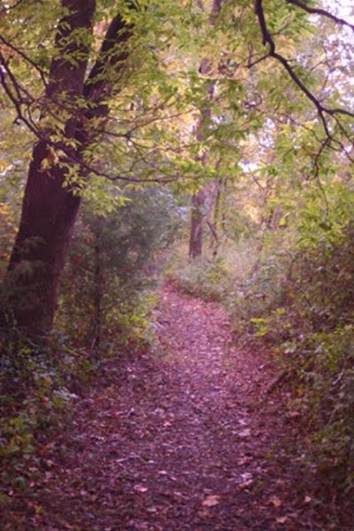 MSSU Nature Trail