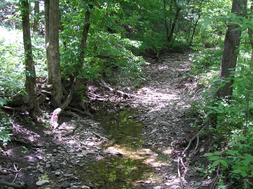 Crowder State Park - May