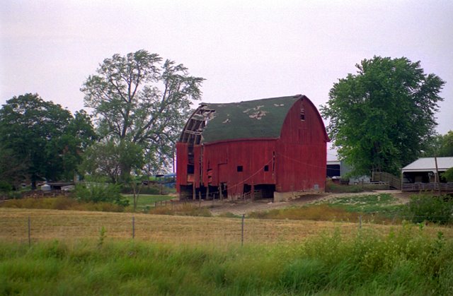 Maysville