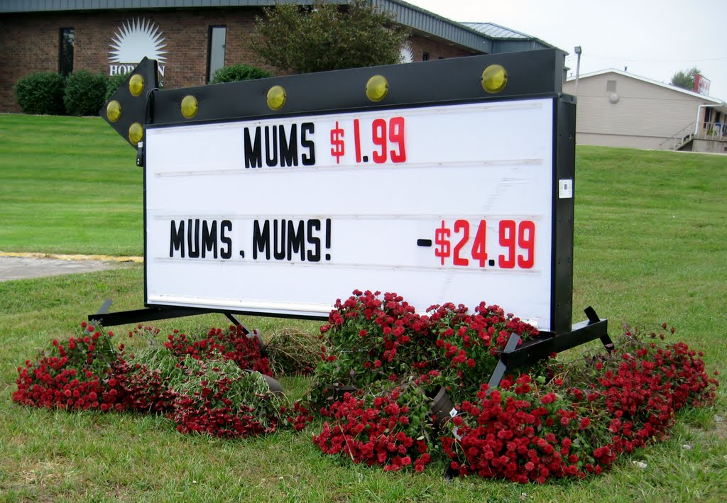 Sutherlands Mum Sale - Free?