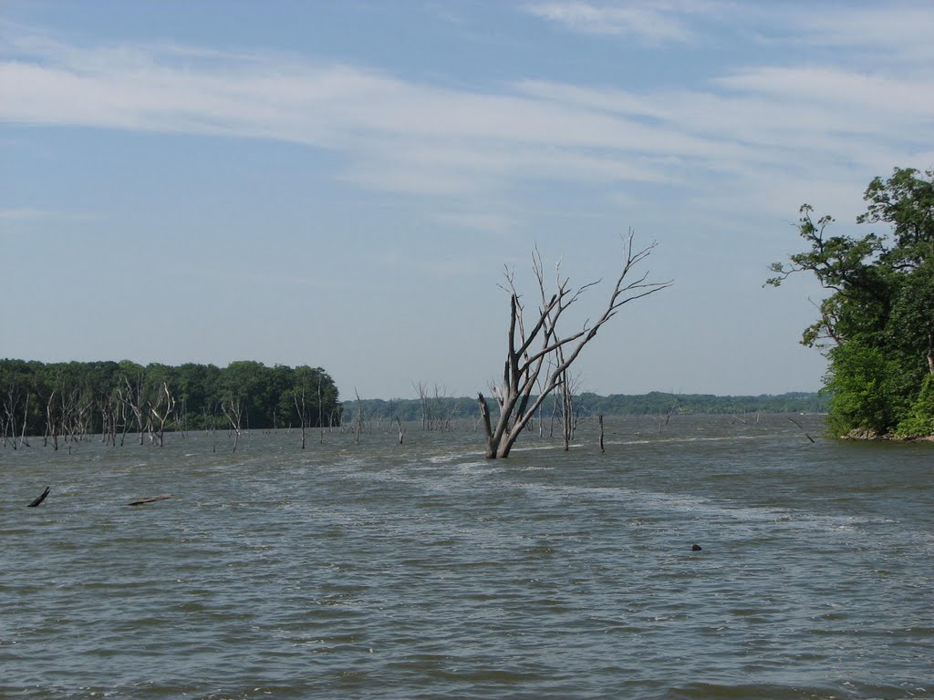 Mecca in Missouri (Along Smithville Lake)