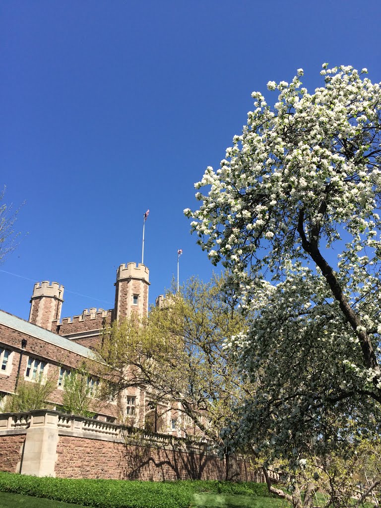 Brookings in Spring 布魯金斯樓春景
