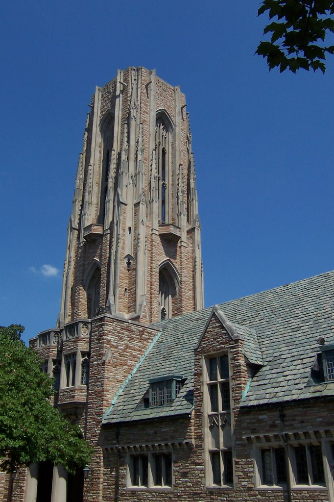 Concordia Seminary