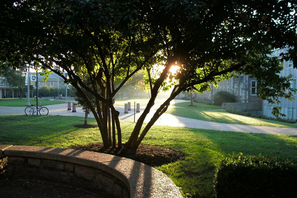 SUNRISE IN THE UNIVERSITY WASHINTON IN SAINT LOUIS MO.